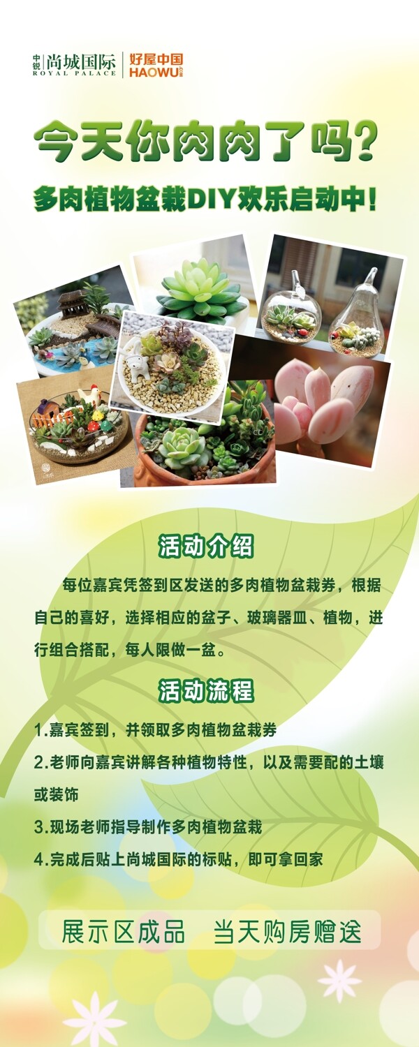 多肉植物易拉寶