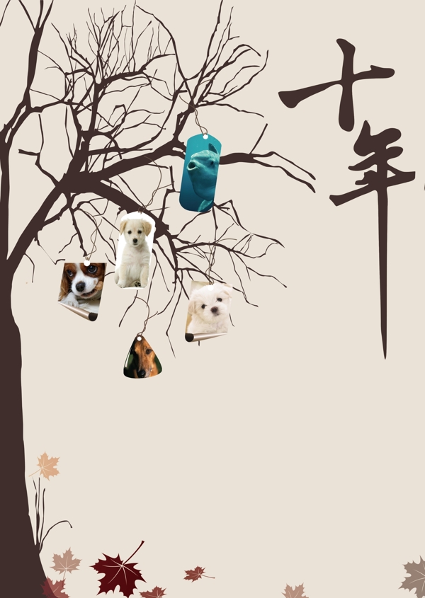 十年圖片
