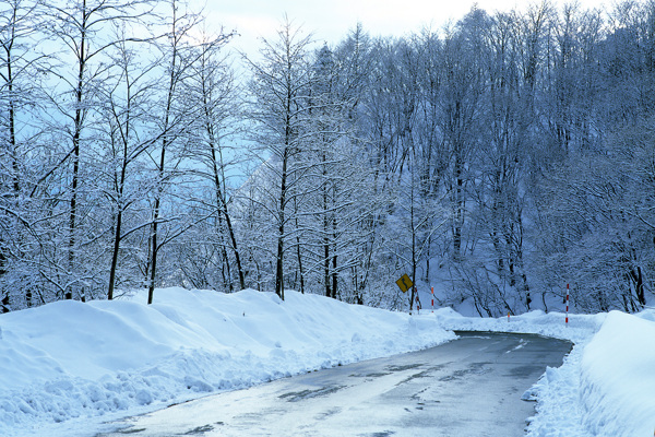 冬天雪景