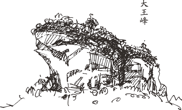 武夷山大王峰线描风景手绘武夷岩茶茶叶产区