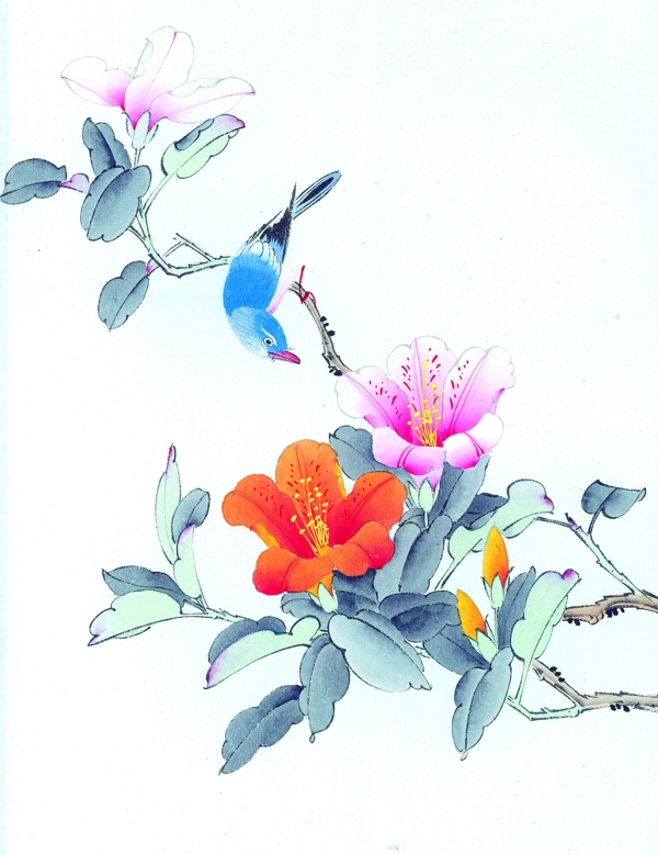 花鳥彩繪圖
