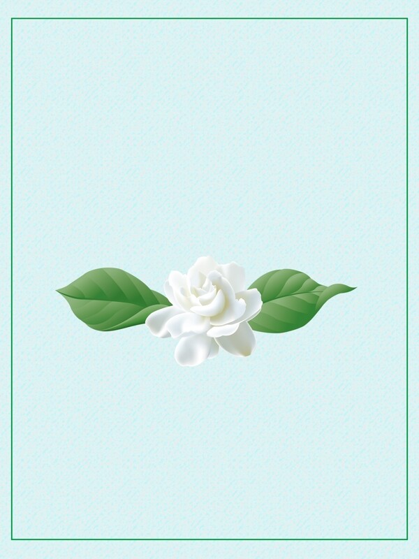 纯洁白色花朵广告背景