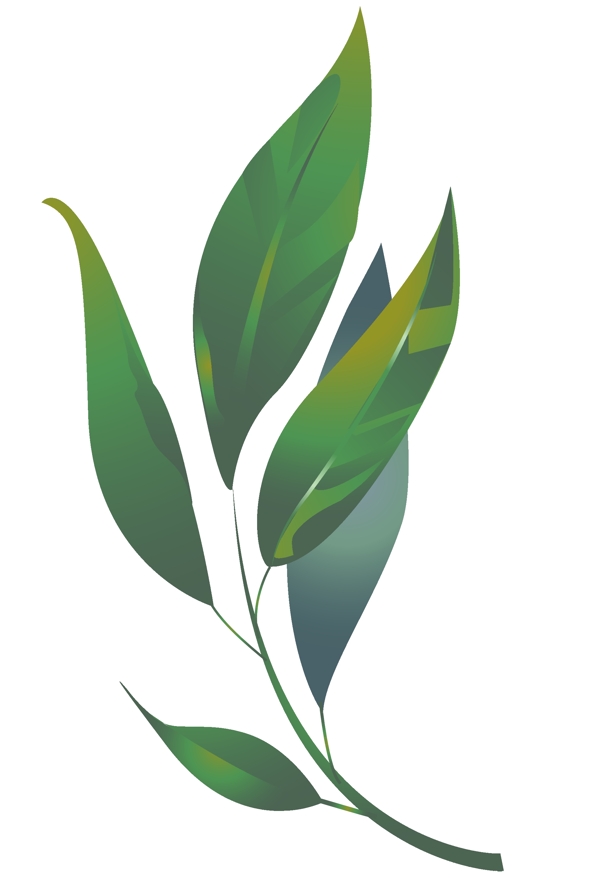 绿色的盆栽的叶子插画