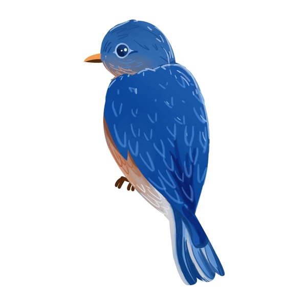 手绘一只蓝色的小鸟设计
