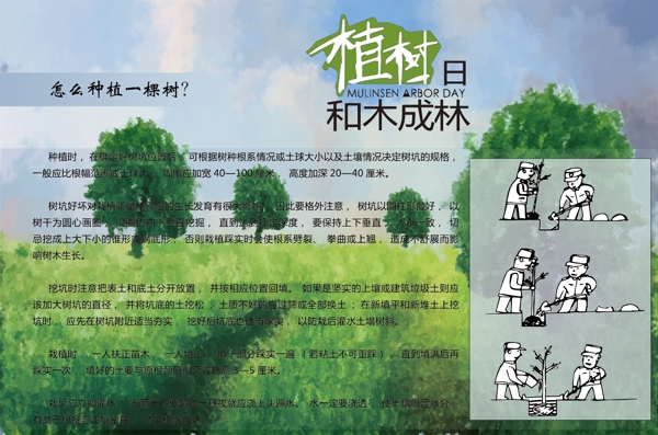 植樹節(jié)展板植樹方法步驟