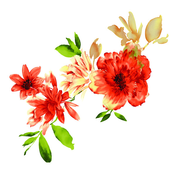 位圖植物寫意花卉花朵野花免費(fèi)素材