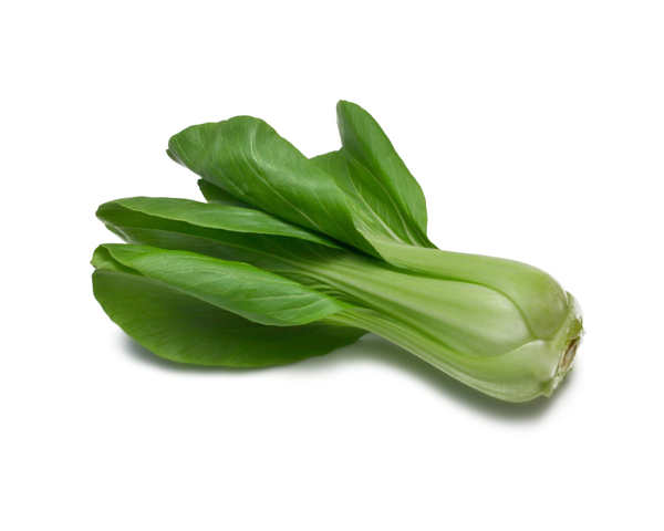 油菜圖片