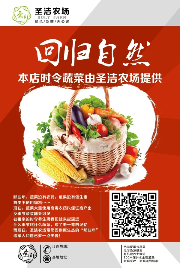 有機(jī)蔬菜新鮮健康