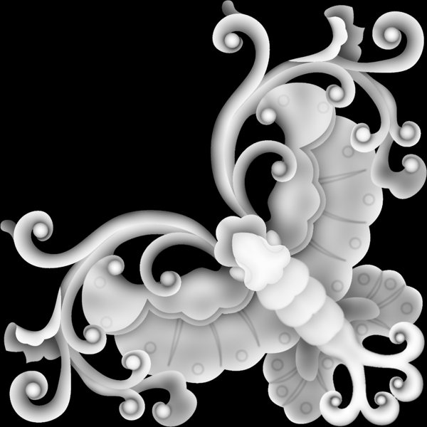 蝴蝶灰度圖