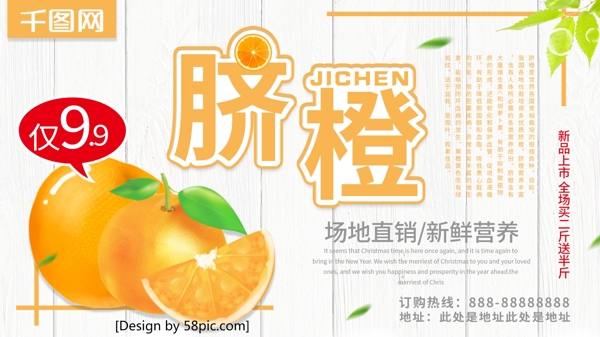 清新简约脐橙水果促销宣传海报