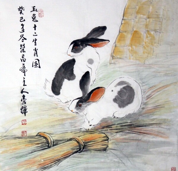 玉兔圖片