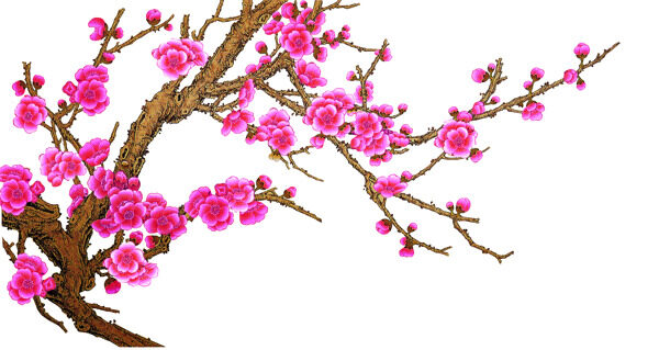 梅花