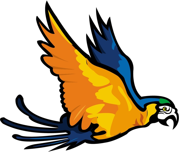 各種鳥類鳥動物矢量素材EPS格式1226