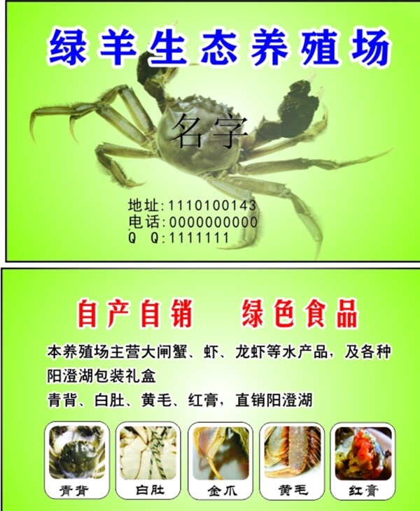 大閘蟹名片圖片