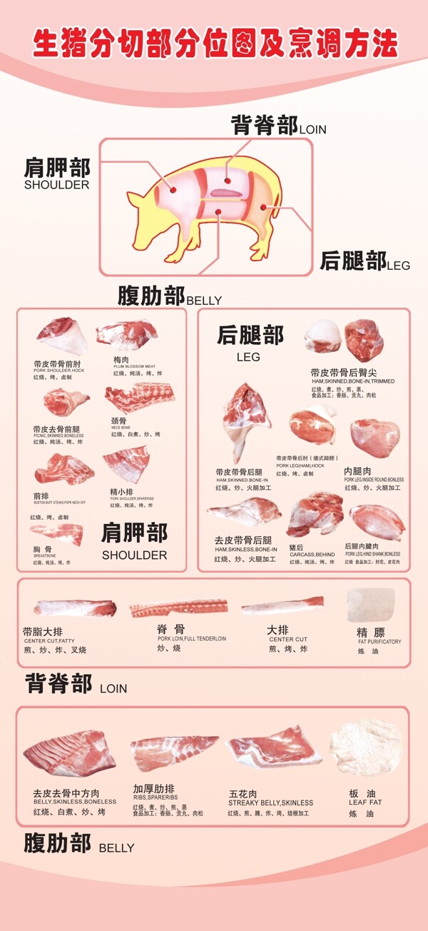 豬肉分割圖圖片