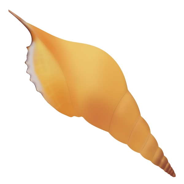 黄色海螺动物
