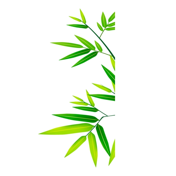 簡(jiǎn)約手繪綠色竹子透明素材