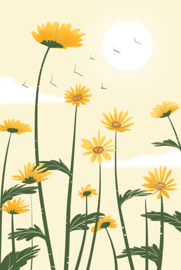 菊花圖片分層