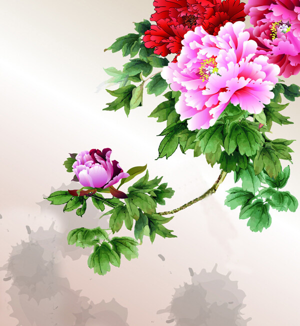 時尚休閑女裝成熟優(yōu)雅女裝T恤圖案毛衫印花優(yōu)雅植物免費素材