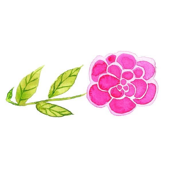 位圖植物寫意花卉花朵野花免費(fèi)素材