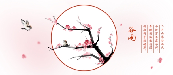 谷雨banner