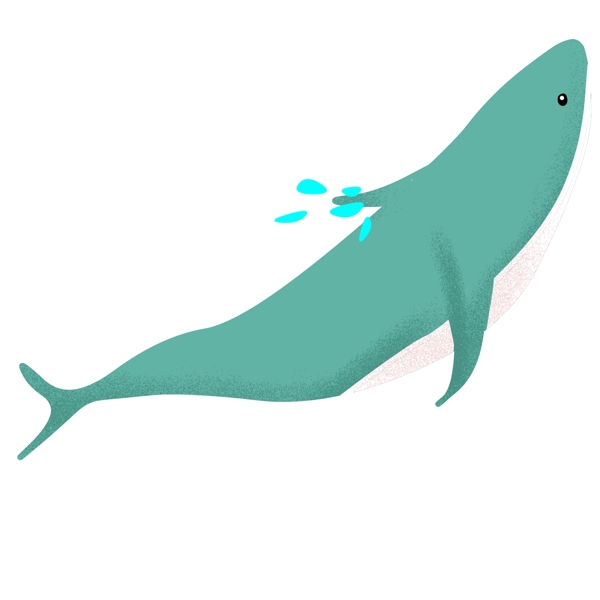 手绘蓝色的鲸鱼插画