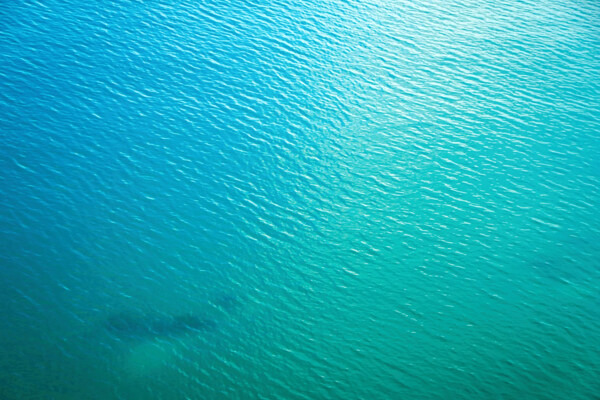 海水