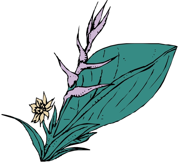 花朵花草鮮花矢量EPS格式0614