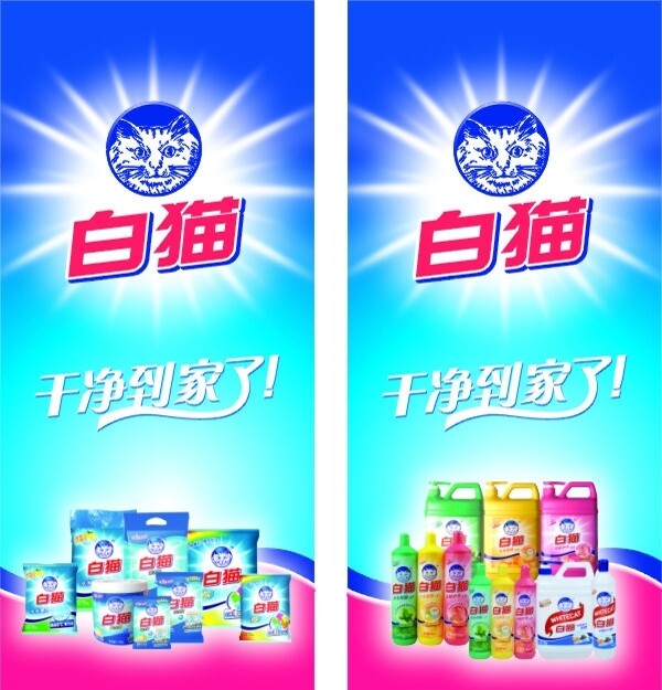 白貓圖片