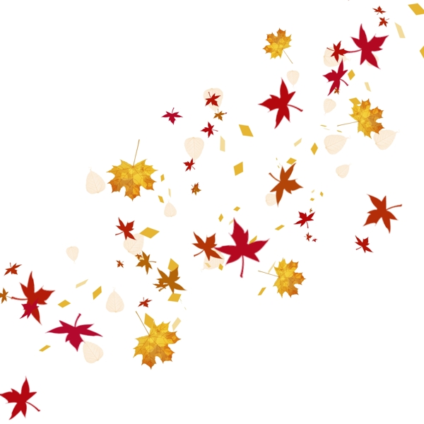 漂浮树叶黄色秋天枫叶浪漫装饰