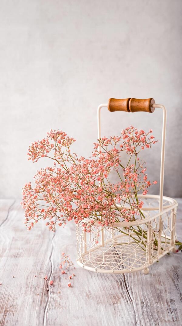 鮮花