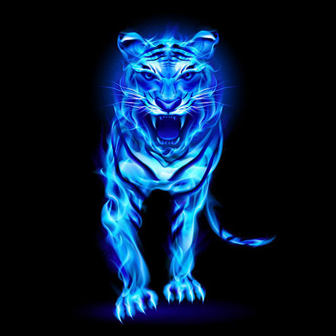 老虎火焰蓝色合成海报素材