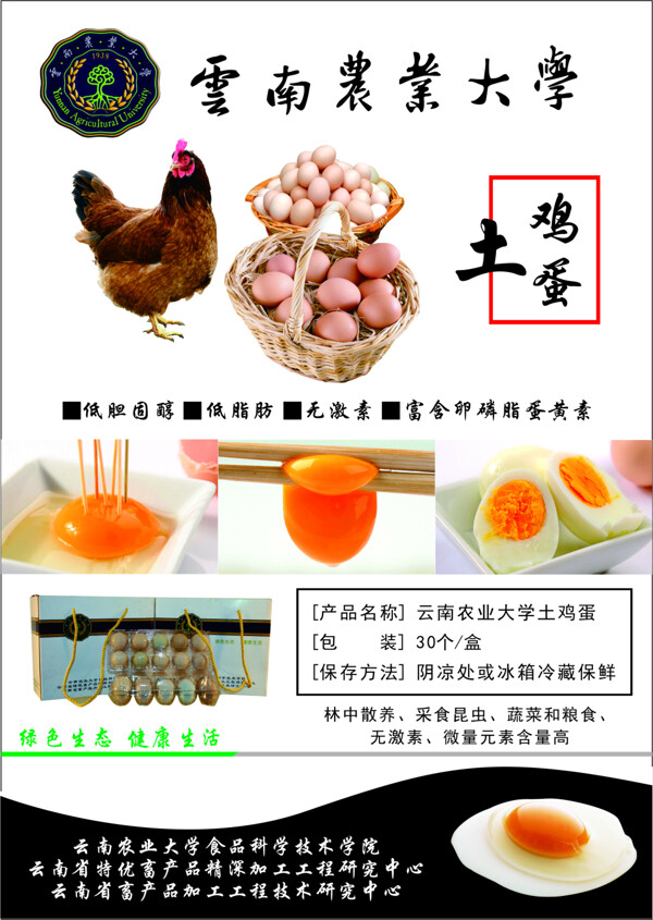 雞蛋宣傳頁