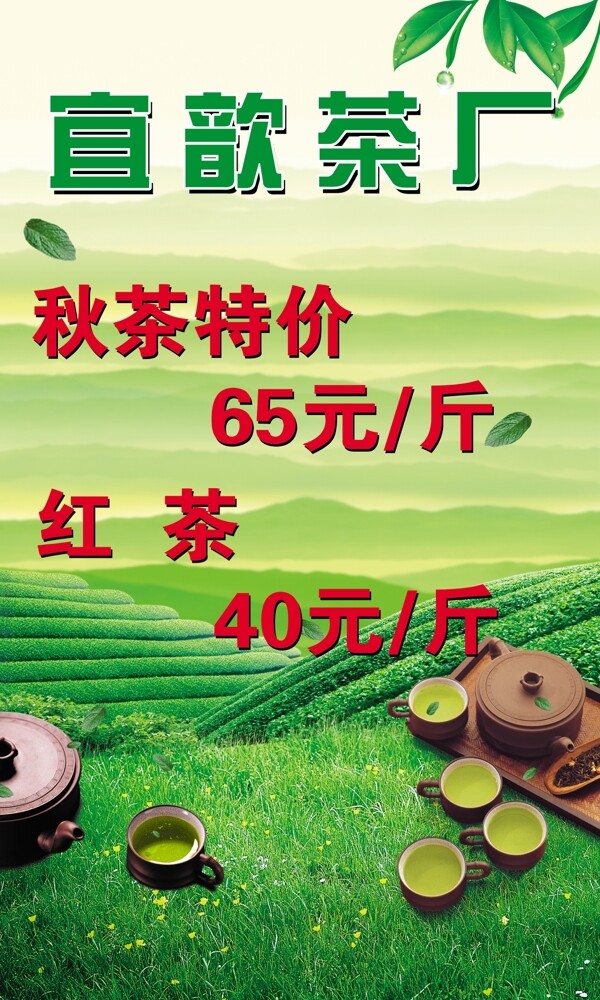 茶廠茶山圖片