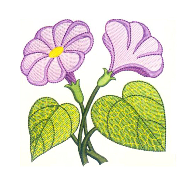 繡花植物花卉花朵葉子免費素材