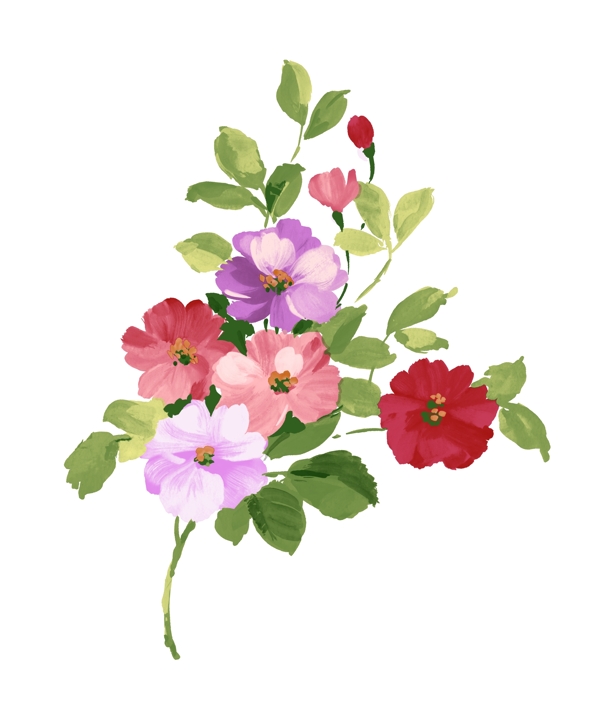 花朵素材圖片