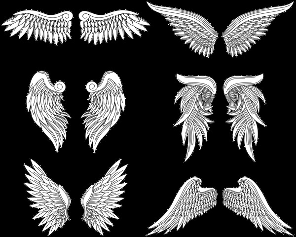 素描风格鸟类翅膀免抠png透明图层素材