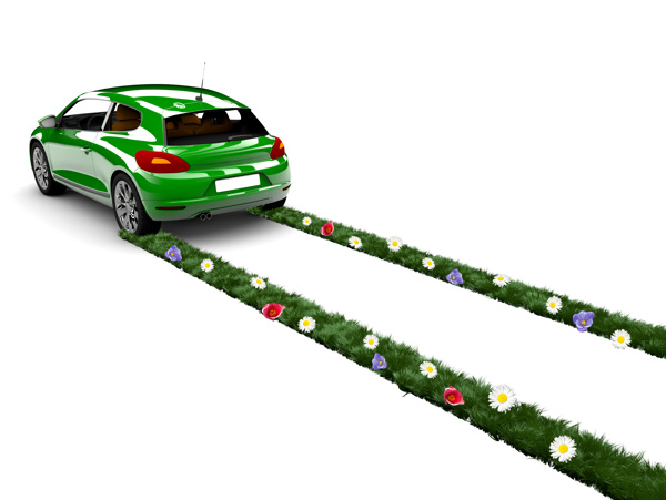 汽車走過的草地和鮮花圖片