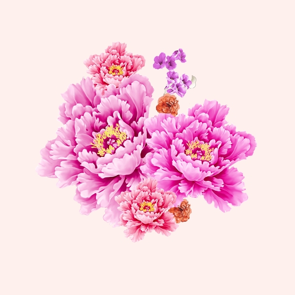 位圖psd植物花朵免費素材