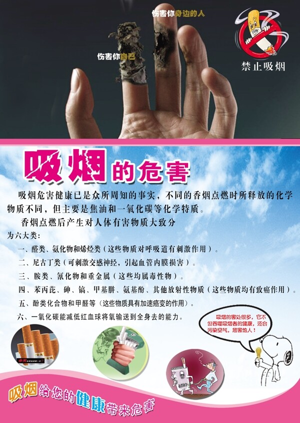 吸煙的危害圖片