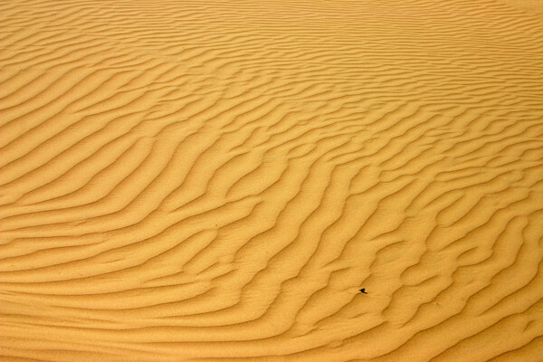 沙漠沙漠贴图