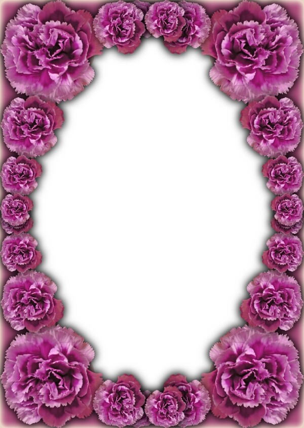 紫红玫瑰花相框