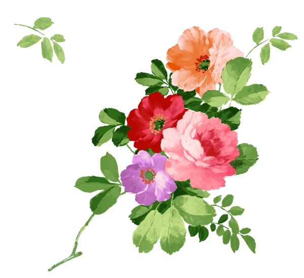 花朵素材圖片