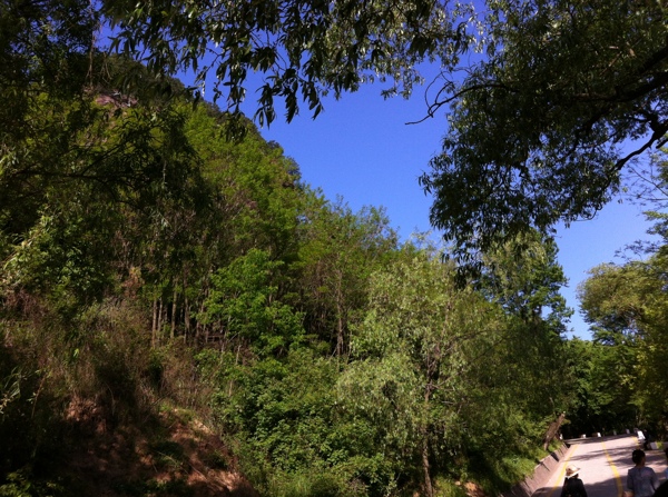 山區(qū)