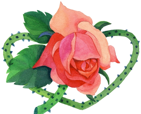 一朵花圖片