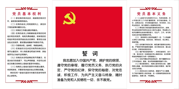 黨員基本權(quán)利和義務(wù)