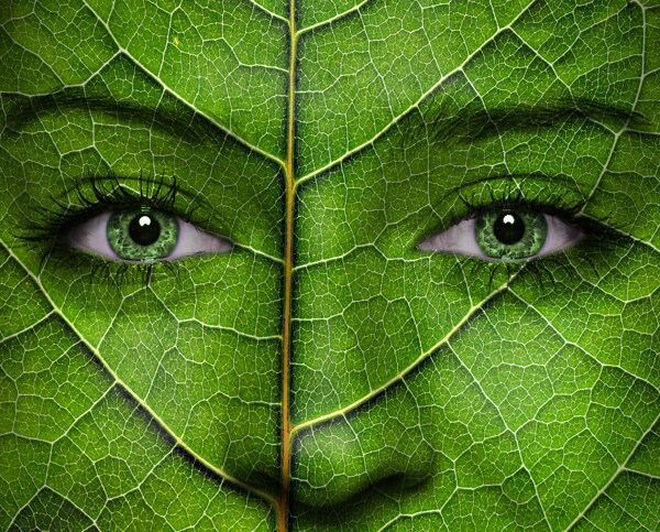 绿色树叶美女面孔图片