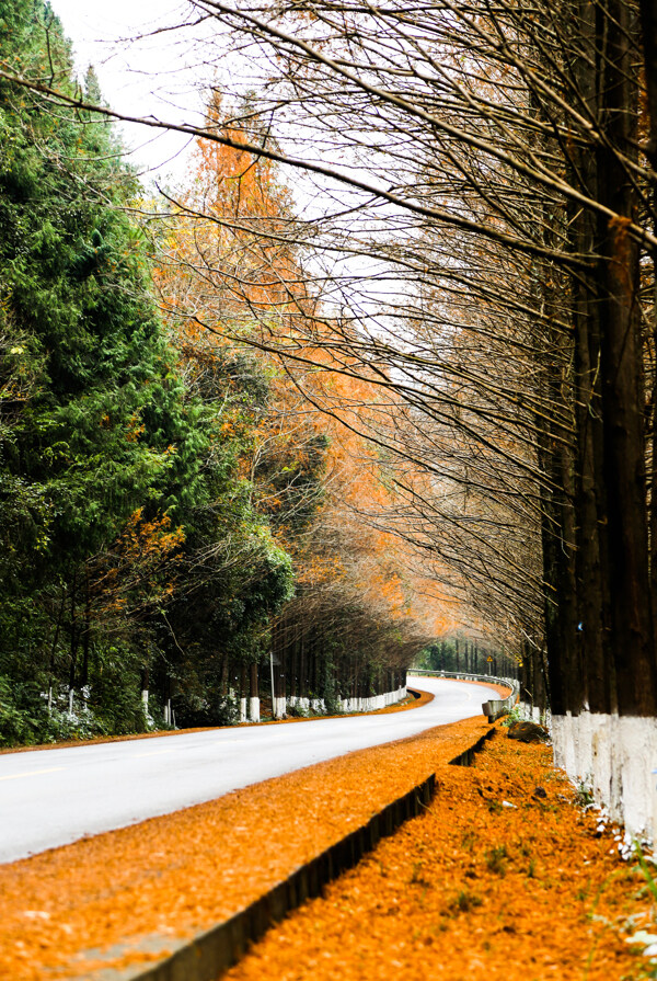 秋天里的乡村公路