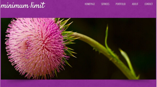 紫色简洁日志网页模板