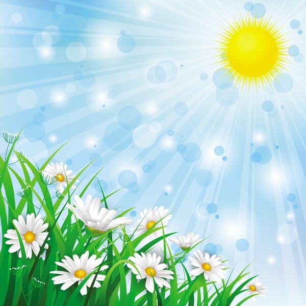 白色小花背景和春天风景矢量素材